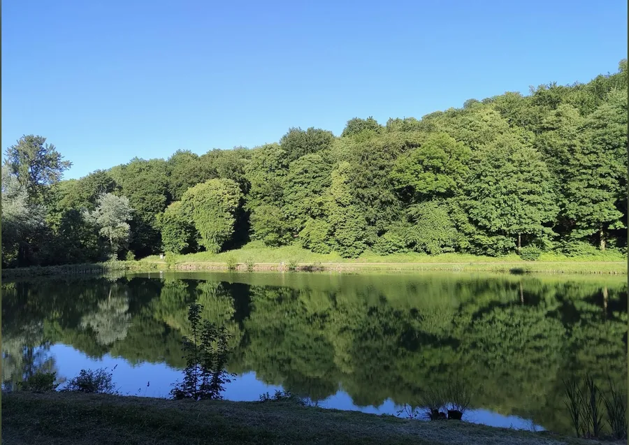 Plan d’eau du Fond Saint-Martin en été